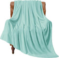 BEDELITE Fleece Blanket Haze Blue Throw Blankets for Couch & Bed, Luxury Plush Cozy Fuzzy Blanket 50" x 60", Super Soft Warm Lightweight Throw Blanket for Travel Camping