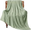 BEDELITE Fleece Blanket Soft Plush Twin Size Blanket Sage Green 60"x80" | Ultra by BEDELITE