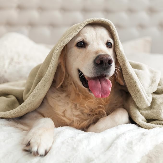 BEDELITE Fleece Blanket Soft Plush Throw - Image 8