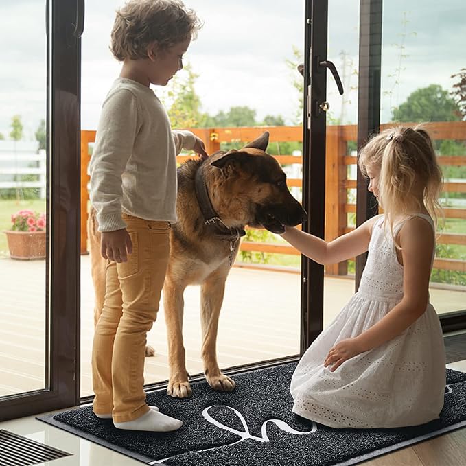 Door Mat Welcome Mat Floor Mat for Entryway, High Traffic Areas | Low Profile - Image 2
