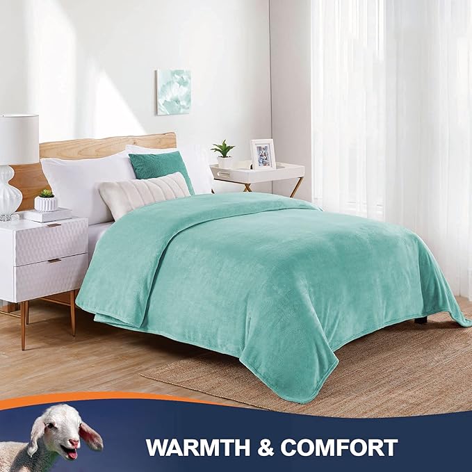 Walensee Fleece Blanket Plush Throw Fuzzy Lightweight (King Size 108x90 Light Blue) Super Soft Microfiber Flannel Blankets for Couch, Bed, Sofa Ultra Luxurious Warm and Cozy for All Seasons