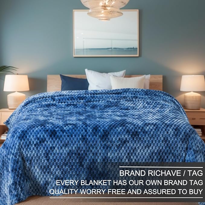 Richave Twin Size Blanket, Premium Lightweight Anti-Static 66x90 Inches 3D Clouds Stylish Jacquard Velvet Plush Bed Blanket for Twin XL Extra Long Bed, Tie-dye Stone Blue