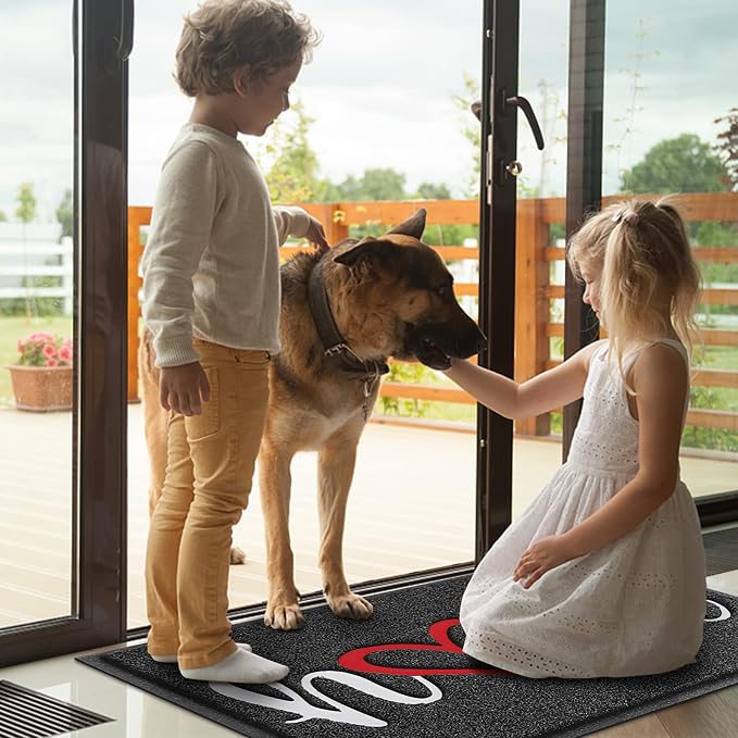 Door Mat Welcome Mat Floor Mat for Entryway, High Traffic Areas | Low Profile - Image 2