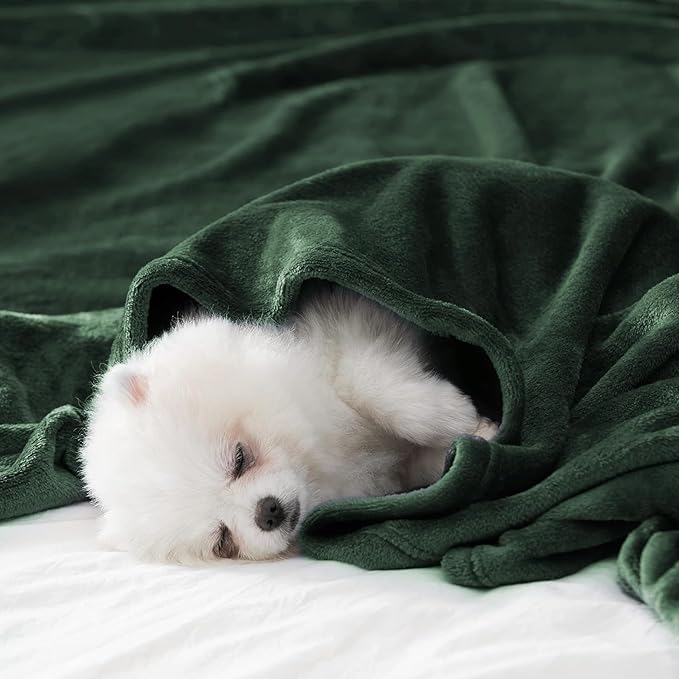 BEAUTEX Fleece Throw Blanket for Couch Sofa or Bed， Throw Size Soft Fuzzy Plush Blanket, Luxury Flannel Lap Blanket, Super Cozy and Comfy for All Seasons (Emerald Green, 50" x 60")