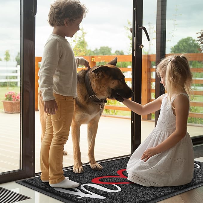 Door Mat Welcome Mat Floor Mat for Entryway, High Traffic Areas | Low Profile - Image 2