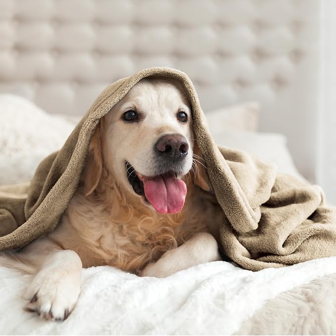 BEDELITE Fleece Blanket Soft Plush Throw - Image 7