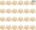 Brightown 24 Pack Fairy Lights Battery Operated - 7Ft 20 Led Mini String Lights Silver Wire Waterproof Firefly Starry DIY Lights for Bedroom Patio Wedding Party Christmas Decor (Warm White)