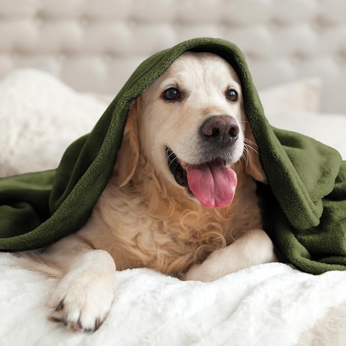 BEDELITE Fleece Blanket Soft Plush Throw - Image 8