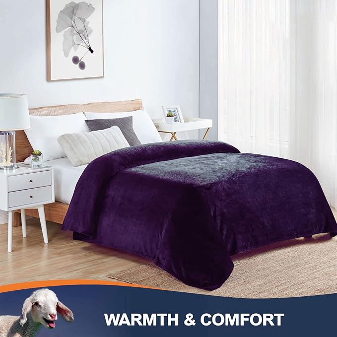 Walensee Fleece Blanket Plush Throw Fuzzy Lightweight (Queen Size 90x90 Purple) Super Soft Microfiber Flannel Blankets for Couch, Bed, Sofa Ultra Luxurious Warm and Cozy for All Seasons