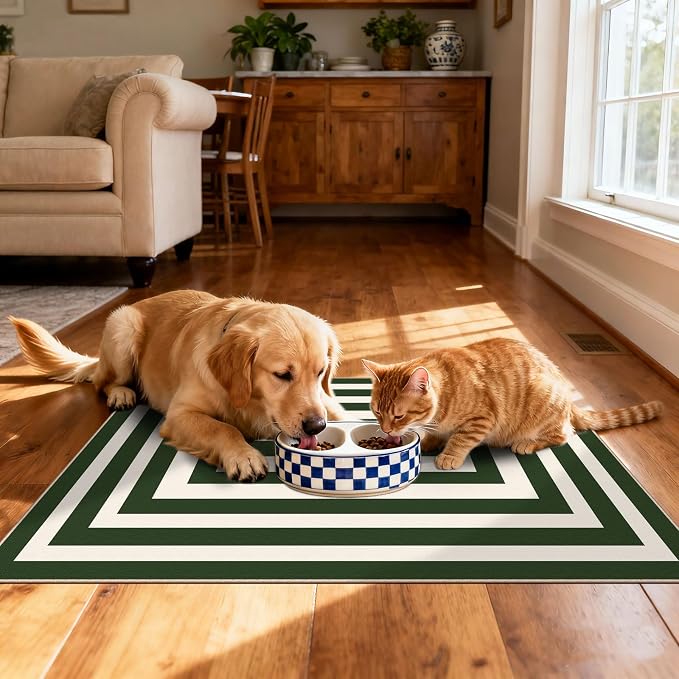 Front Door Mat Indoor Outside Entrance, 2x3 Green White Modern Rug | Non-Slip - Image 6