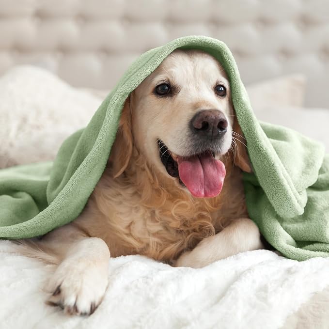 BEDELITE Fleece Blanket Soft Plush Twin Size Blanket Sage Green 60"x80" | Ultra - Image 7