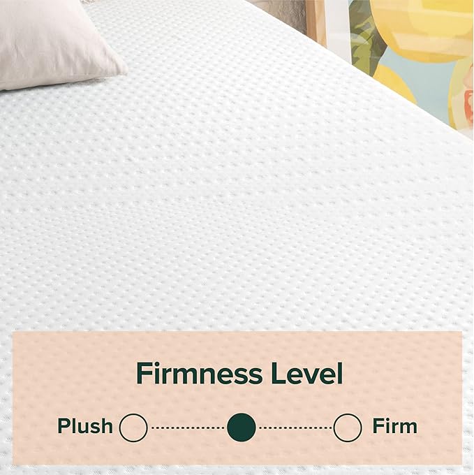 ZINUS 12 Inch Green Tea Essential Memory Foam Mattress, Queen, Mattress in A Box, Affordable Mattress, CertiPUR-US Certified