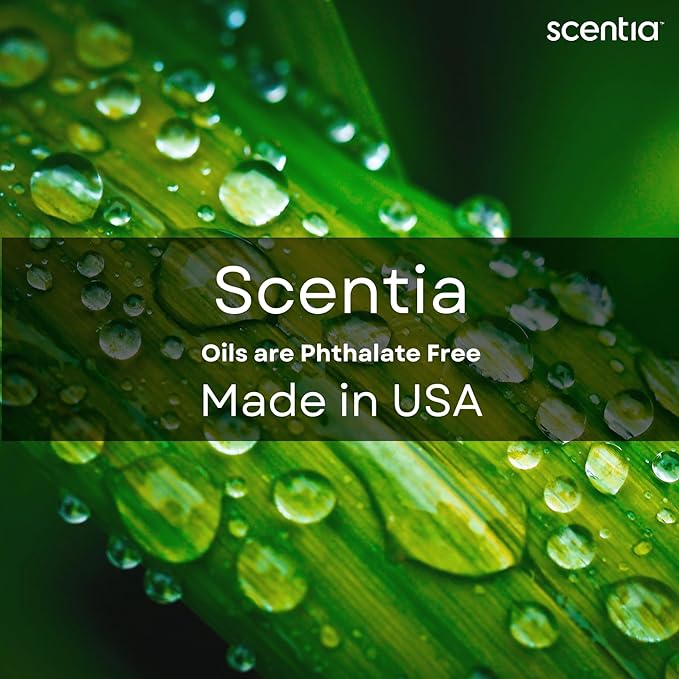Scentia Hotel Diffuser Oil Inspired by 5-Star Hotel Scent - 120 mL 4.06 fl oz - Essential Oil Blend Botanical Jasmine, Bergamot & Fresh Notes for Aromatherapy Diffusers - Cabana, Thanksgiving Gift