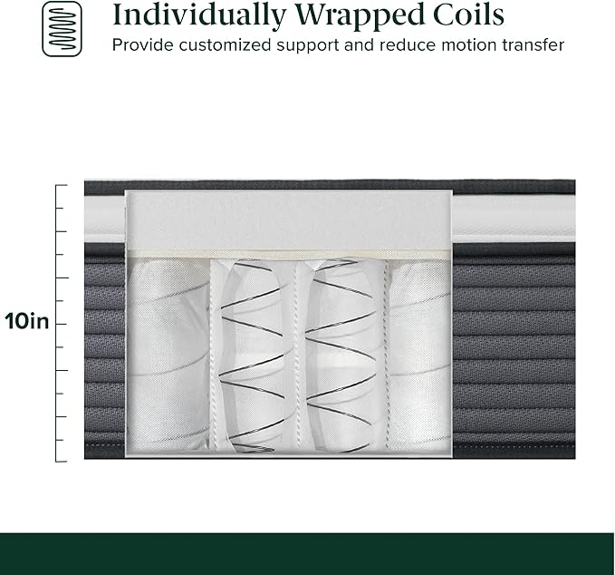ZINUS 10 Inch True Support Hybrid Mattress [New Version], Full, Fiberglass free, Medium Feel, Motion Isolation, Certified Safe Foams & Fabric, Mattress in A Box