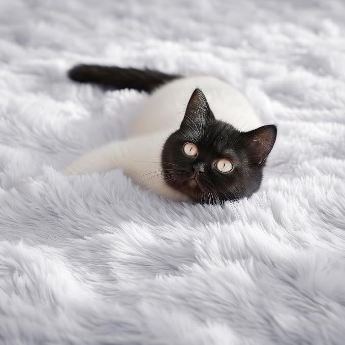 Fluffy Shaggy Area Rug 5x8, Plush Rugs - Image 2