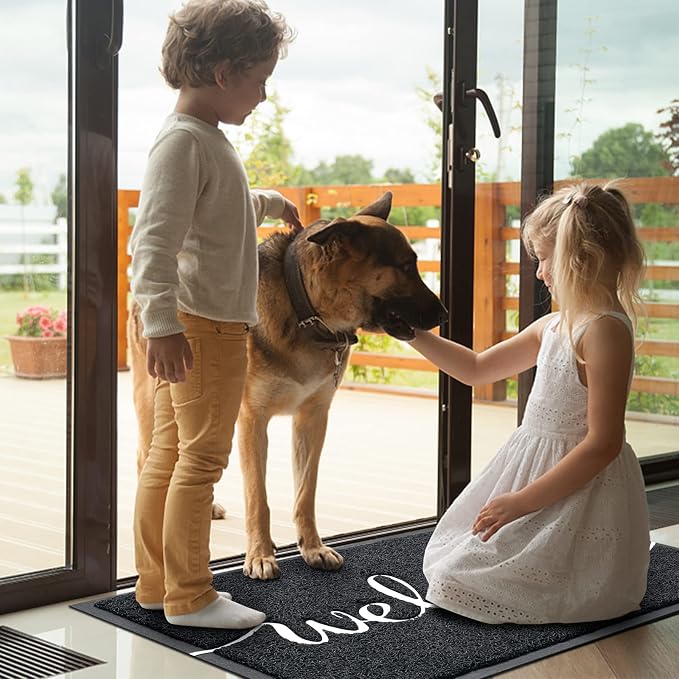 Door Mat, Welcome Mat Low Profile Floor Mat Front Doormat Indoor and Outdoor - Image 2