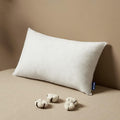 MIULEE Pillow Insert 20x26 Inch Decorative Rectangle Throw Pillow Inserts | by MIULEE