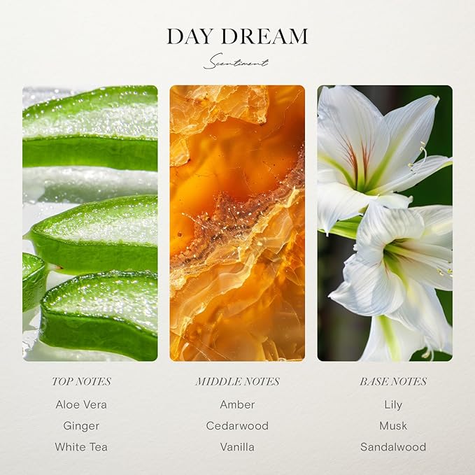 Scentiment Diffuser Oil - Day Dream | Inspired by Luxury Five Star Hotel White Tea Scent | Aromatherapy Home Fragrance| Luxurious Scent with Notes of Aloe Vera, Cedar, White Tea (120 mL)