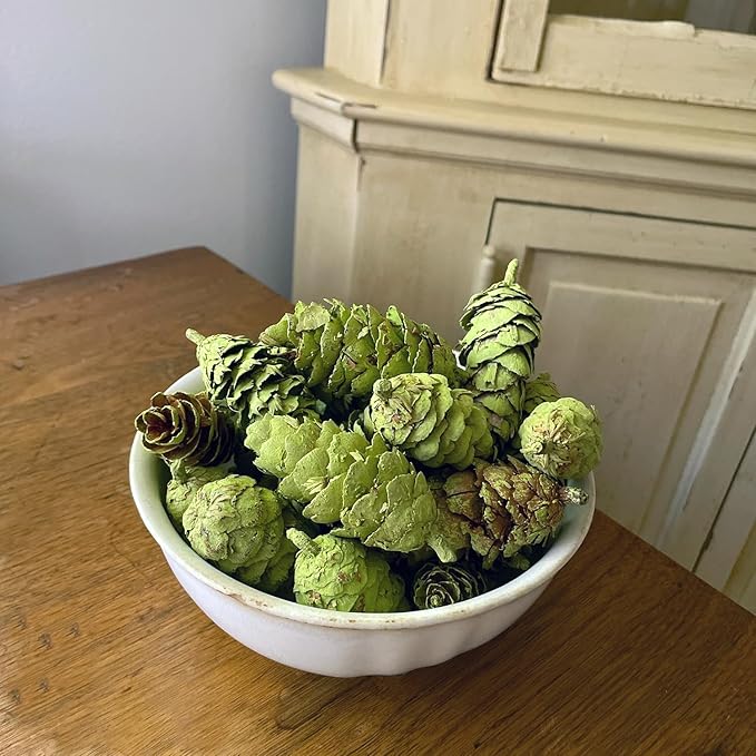 Hillhouse Naturals Birchwood & Spruce 8oz Potpourri Green Pine Cones. Solitude of Winter with fragrances of Aspen Birchwood, Spruce and Bergamot. Made in The USA.