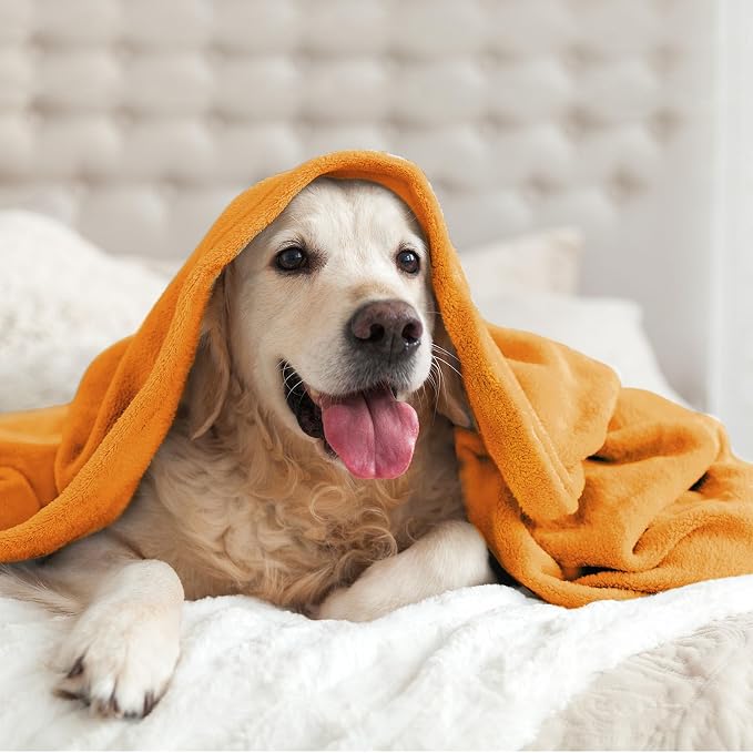 BEDELITE Fleece Blanket Soft Fall King Bed Blanket Burnt Orange 108"x90" | - Image 9