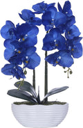 Large Artificial Potted Orchid Plant, Silk Flower Arrangement with Ceramics Vase, Navy Blue