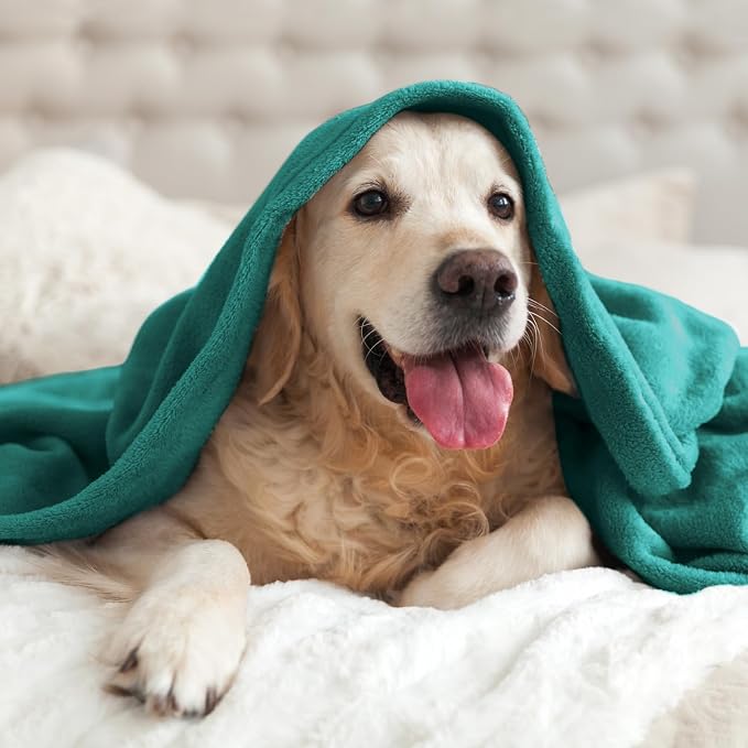 BEDELITE Fleece Blanket Soft Plush Throw - Image 7