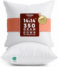 Utopia Bedding 14x14 Pillow Inserts, 2 Pack | Indoor cushion inserts by UTOPIABEDDING