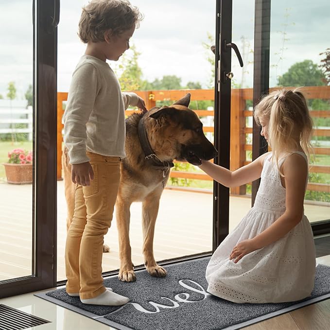 Door Mat, Welcome Mat Low Profile Floor Mat Front Doormat Indoor and Outdoor - Image 2