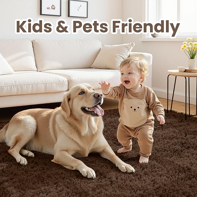 6x9 Fluffy Shag Area Rugs for Living Room Bedroom: Soft Plush Carpet Brown | - Image 4