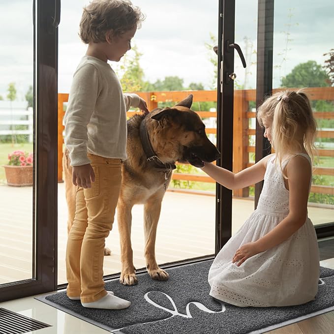 Door Mat Welcome Mat Floor Mat for Entryway, High Traffic Areas | Low Profile - Image 2