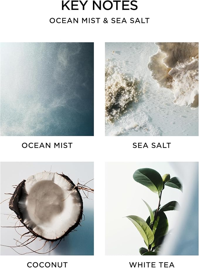 NEST New York Reed Diffuser Liquid Refill, Ocean Mist & Sea Salt - 5.9 fl oz - Fragrance for Up to 90 Days - Flame Free