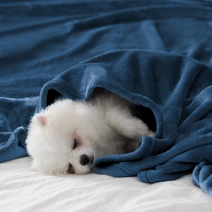 BEAUTEX Fleece Blanket King Size Super Soft Flannel Throw Blanket Lightweight Fuzzy Plush Blanket for Couch Sofa or Bed All Seasons (Dusty Blue, 108" x 90")
