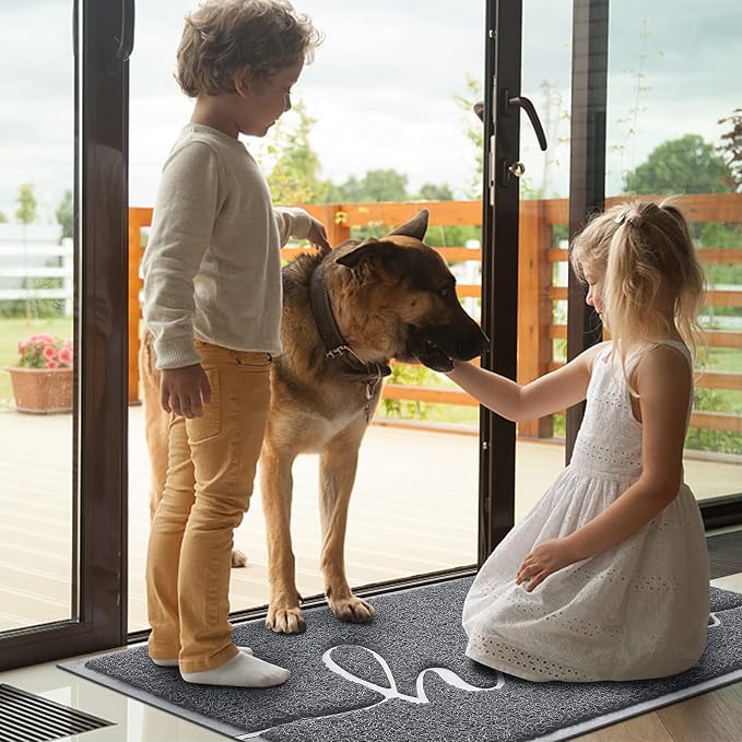 Door Mat Welcome Mat Floor Mat for Entryway, High Traffic Areas | Low Profile - Image 2