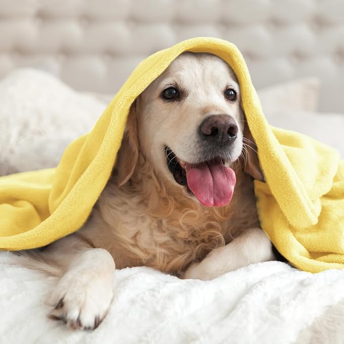 BEDELITE Fleece Blanket Soft Plush Twin Size Blanket Light Yellow 60"x80" | - Image 8
