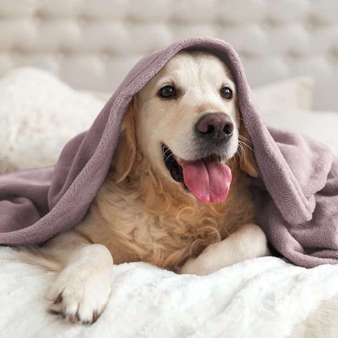 BEDELITE Fleece Blanket Soft Plush Throw - Image 8