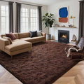 6x9 Ft Large Shag Rugs for Living Room Decor, Ultra Soft Brown Fluffy Furry by Cuzwlovita