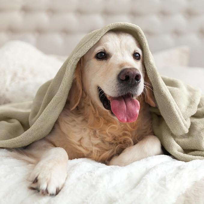 BEDELITE Fleece Blanket Soft Plush Throw - Image 8