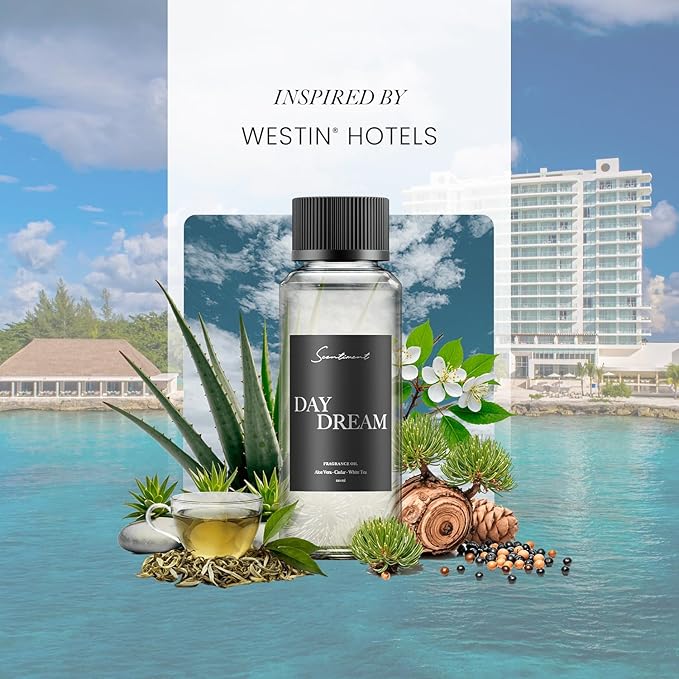 Scentiment Diffuser Oil - Day Dream | Inspired by Luxury Five Star Hotel White Tea Scent | Aromatherapy Home Fragrance| Luxurious Scent with Notes of Aloe Vera, Cedar, White Tea (500 mL)
