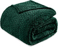 Exclusivo Mezcla Fleece Twin Size Blanket for Bed, 90x66 Inches Soft Cozy Jacquard Flannel Blankets, Lightweight Fuzzy Plush Warm for Winter, Forest Green