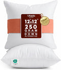 Utopia Bedding 12x12 Pillow Inserts, 2 Pack | Indoor cushion inserts by UTOPIABEDDING