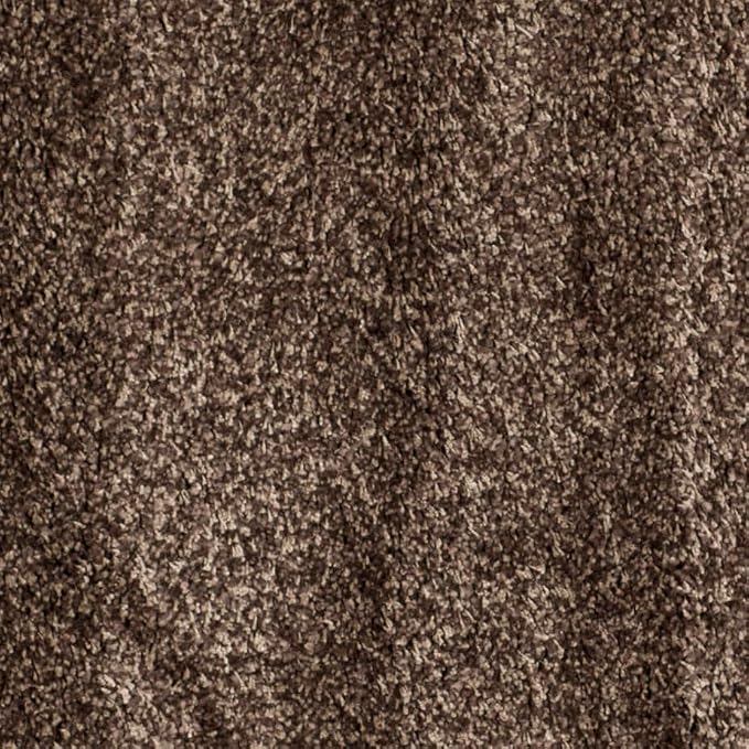 SAFAVIEH Area Rug 3x5 - Image 8