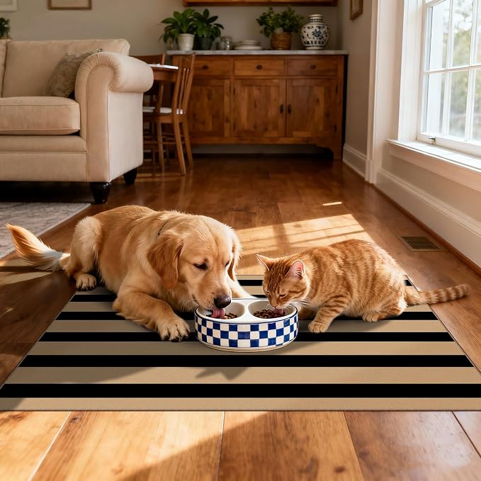 Front Door Mat Indoor Outside Entrance 2x3 Black Tan Striped Rug | Non-Slip - Image 5