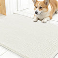 OLANLY Dog Door Mat for Muddy Paws 24x16, Super Absorbent Chenille Mud Mat | by OLANLY