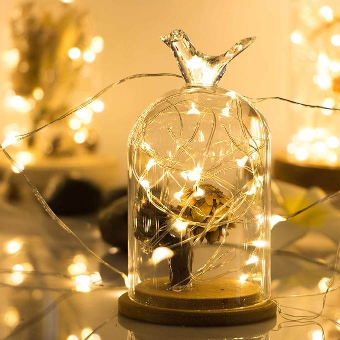 ANJAYLIA Fairy Lights, 2 Pack String Lights Battery Operated 33ft 100 LED Twinkle Lights for Wedding, Party, Christmas, Warm White