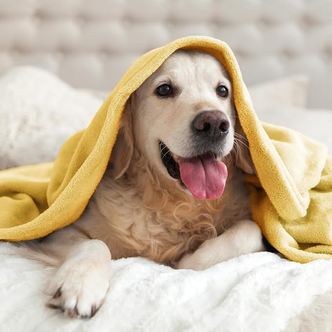 BEDELITE Fleece Blanket Soft Plush Throw - Image 9
