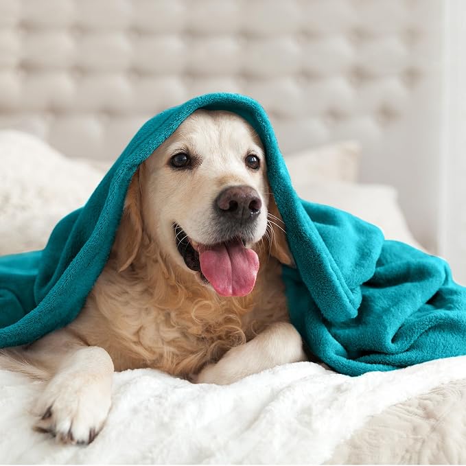 BEDELITE Fleece Blanket Soft Plush Queen Size Bed Blanket Teal Blue 90"x90" | - Image 9