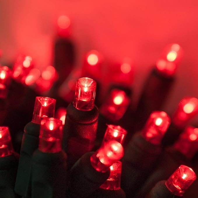 Wintergreen Lighting 50 5mm LED Red Christmas Lights, 6 Spacing, 25' Valentines Day Holiday Lights Mini Lights LED String Lights Christmas String Lights