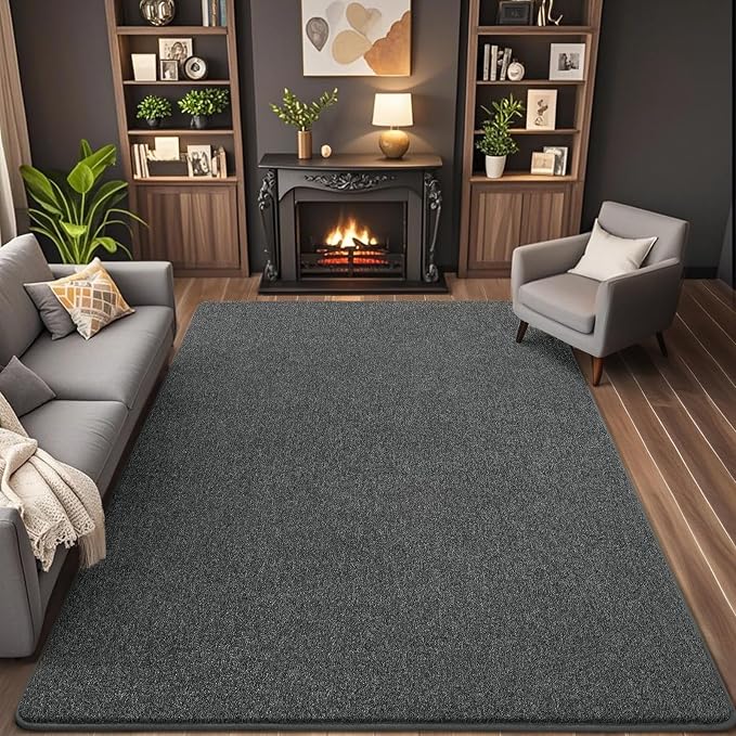 5x7 Area Rugs for Living Room Non Slip Bedroom Rug, Minimalist Washable Indoor by AROGANAREARUG
