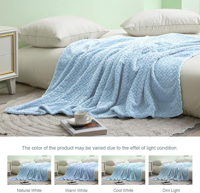 Exclusivo Mezcla Fleece Twin Size Blanket for Bed, 90x66 Inches Soft Cozy Jacquard Flannel Blankets, Lightweight Fuzzy Plush Warm for Winter, Light Blue