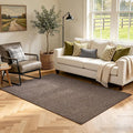 3x5 Coffee/White Area Rug Washable Non-Slip Soft Thin by Unknown